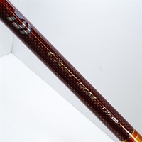 １８キャスティズムＴ２５－３８５・５